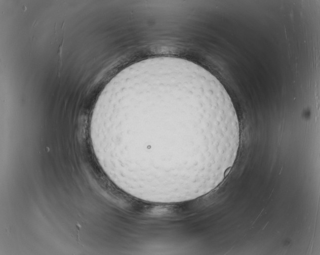 X0000116130171201001041019