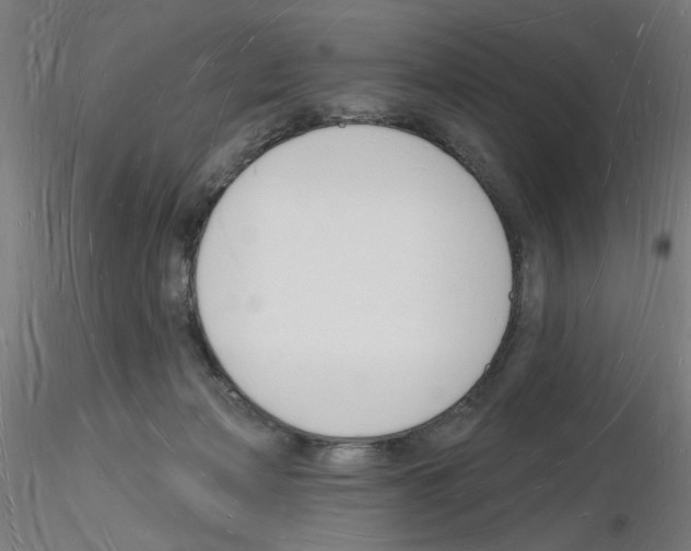 X0000116130173201001041019