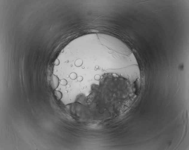 X0000116130175201001041019