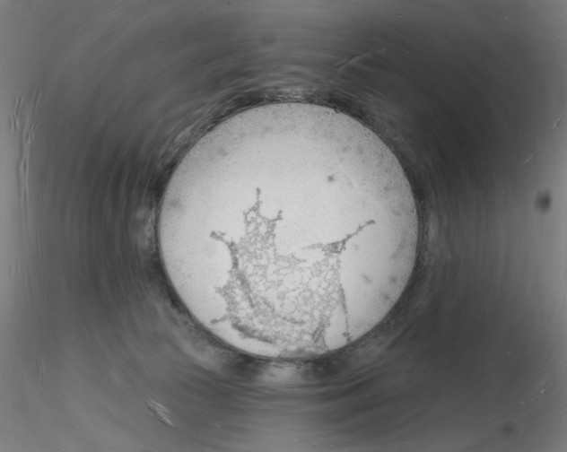 X0000116130177201001041019