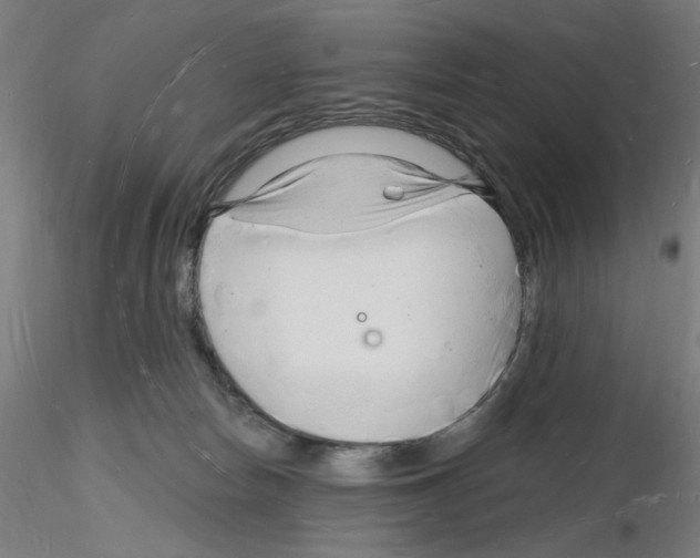 X0000116130178201001041019