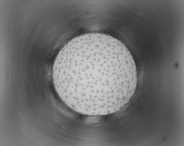 X0000116130179201001041019