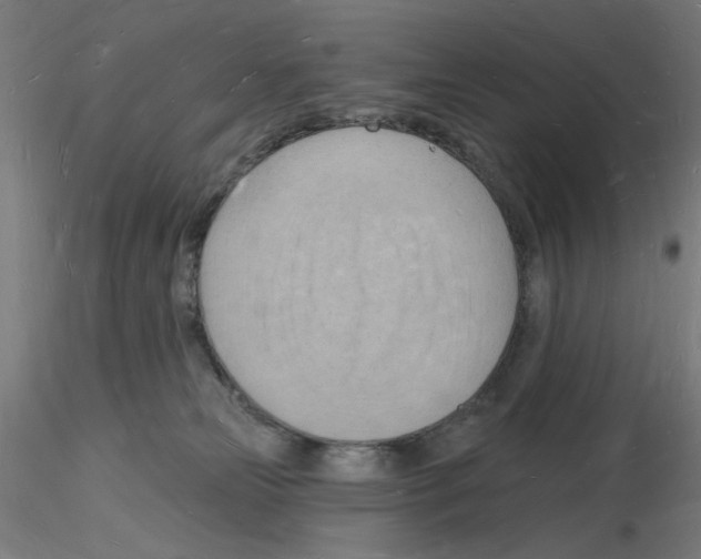 X0000116130181201001041019