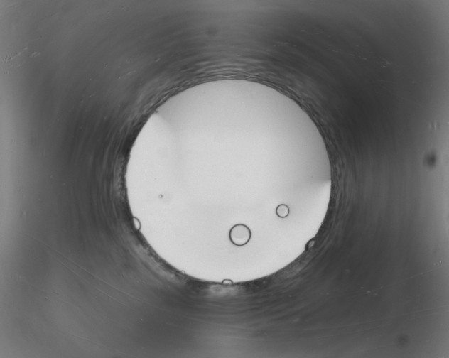 X0000116130185201001041019