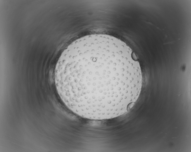 X0000116130187201001041019