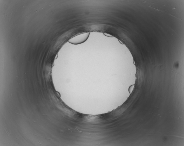 X0000116130189201001041019