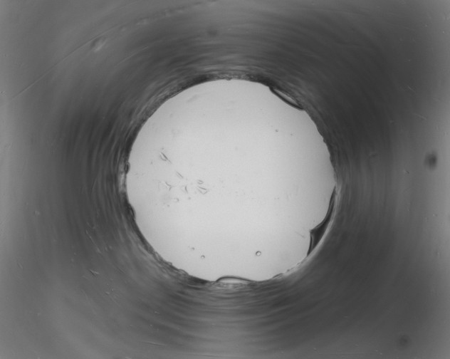 X0000116130190201001041019