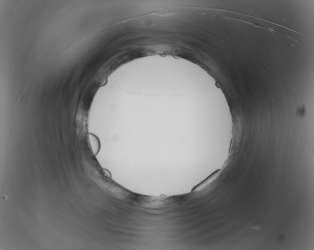 X0000116130191201001041019