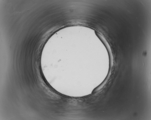 X0000116130193201001041018