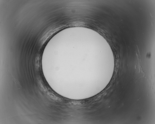 X0000116130194201001041018