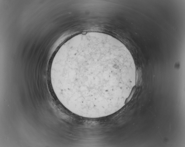 X0000116130195201001041018