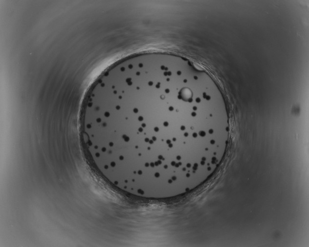 X0000116130196201001041018