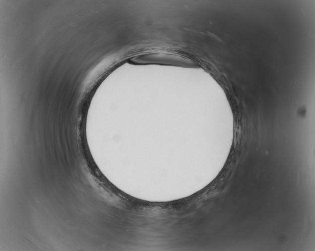 X0000116130197201001041018
