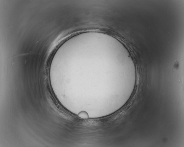 X0000116130198201001041018
