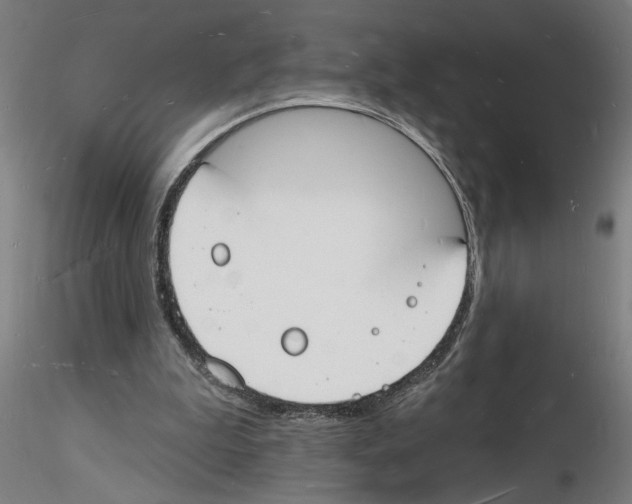 X0000116130199201001041018