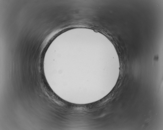 X0000116130200201001041018