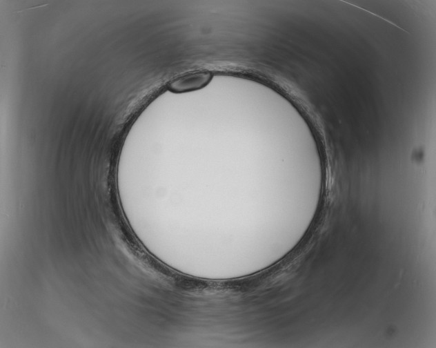 X0000116130201201001041018