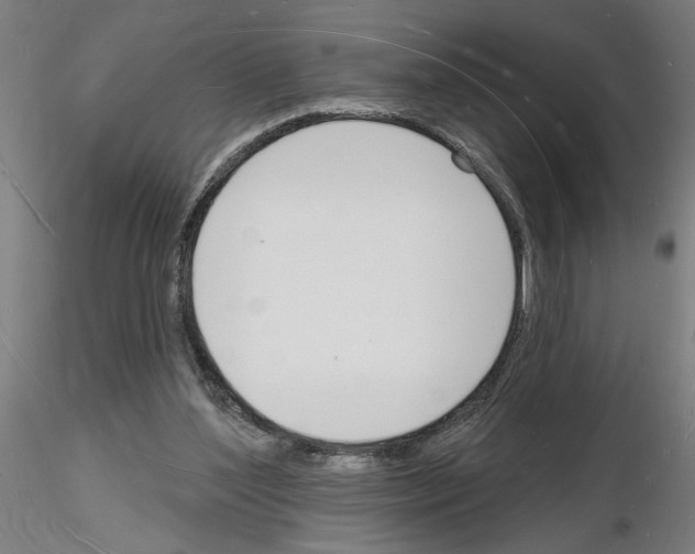 X0000116130204201001041018