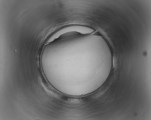 X0000116130205201001041018