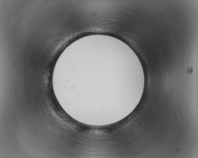 X0000116130208201001041018