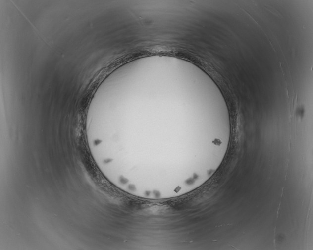 X0000116130210201001041018