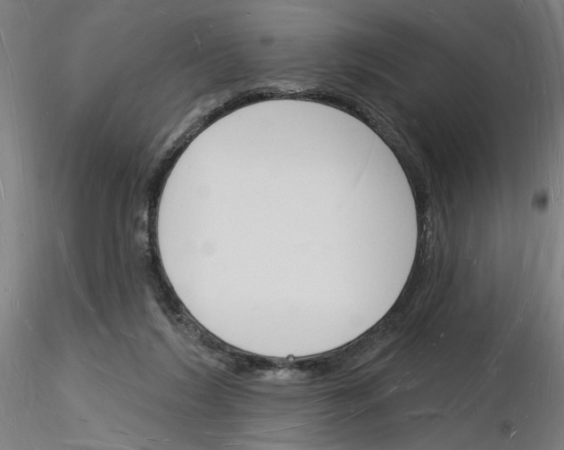 X0000116130212201001041018