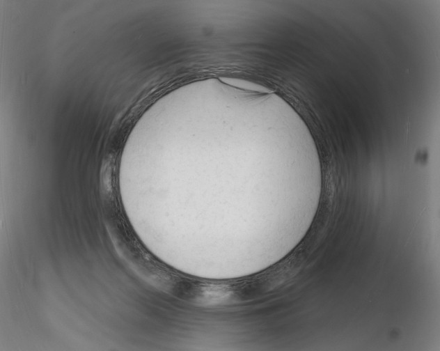 X0000116130214201001041018