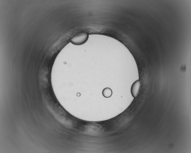 X0000116130215201001041018
