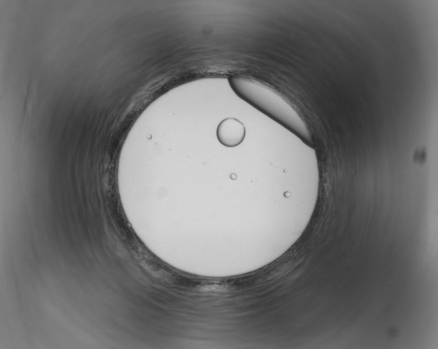 X0000116130216201001041018
