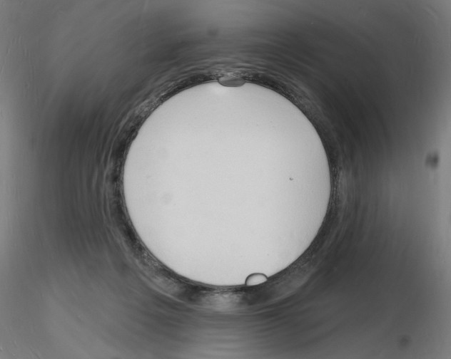 X0000116130217201001041018