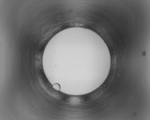 X0000116130218201001041018