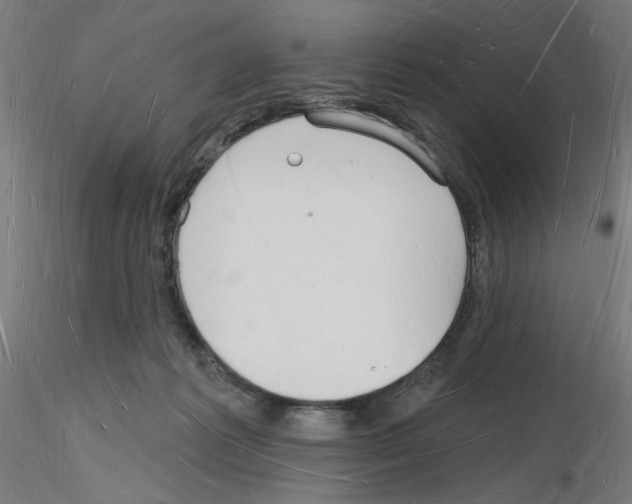 X0000116130221201001041018