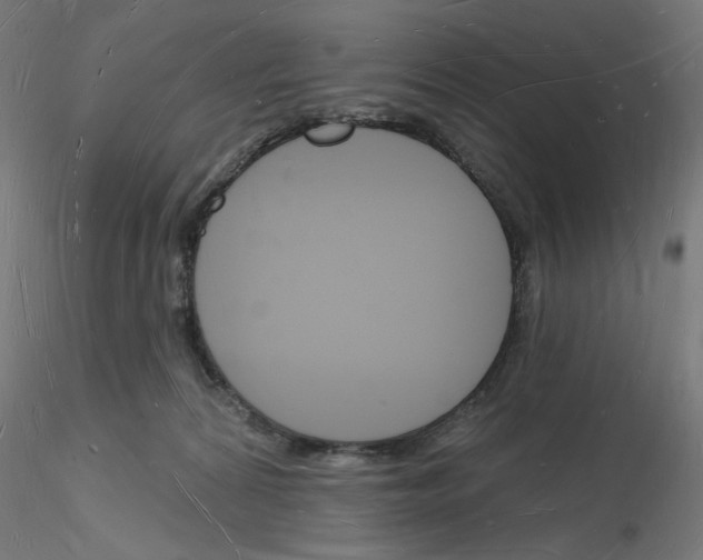 X0000116130224201001041018