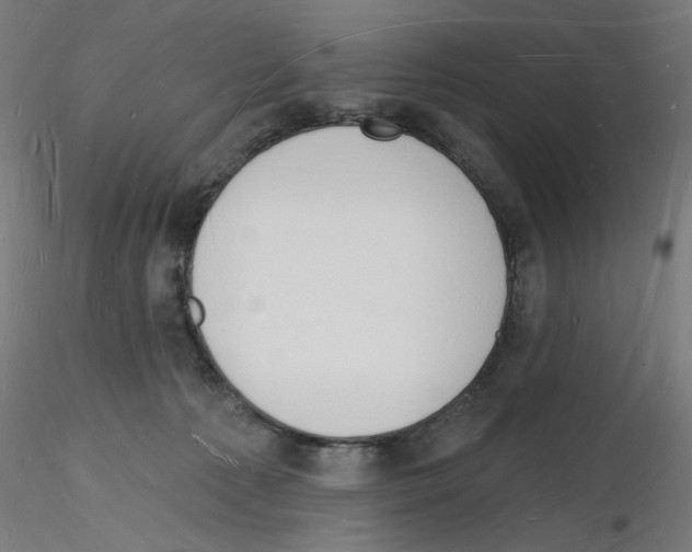 X0000116130225201001041018