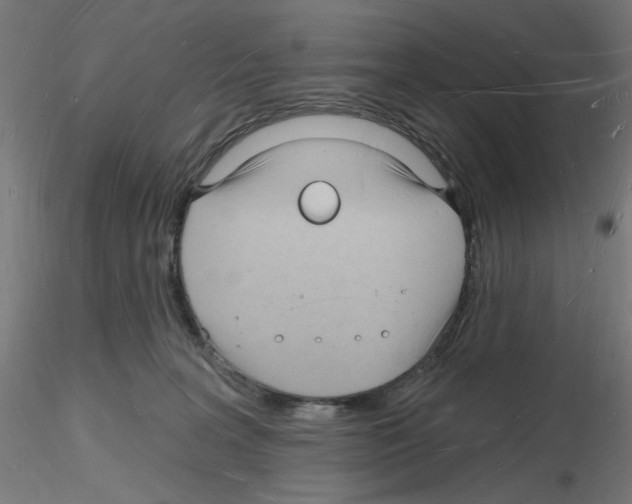 X0000116130227201001041018