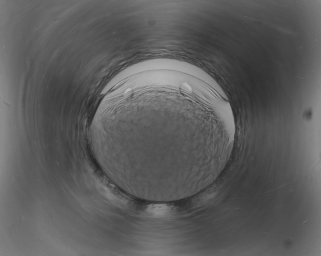 X0000116130231201001041018
