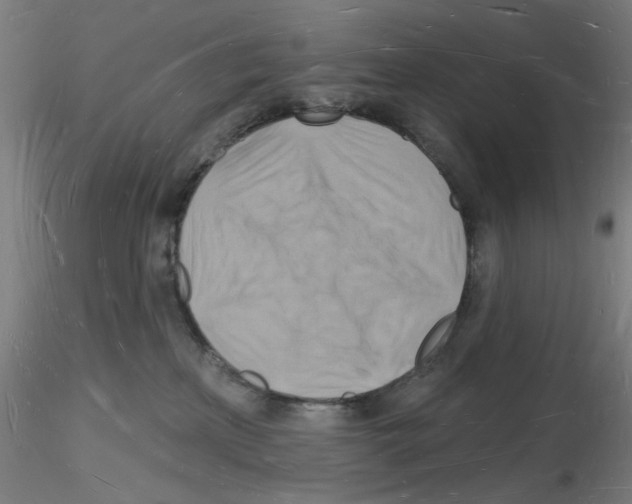 X0000116130233201001041018