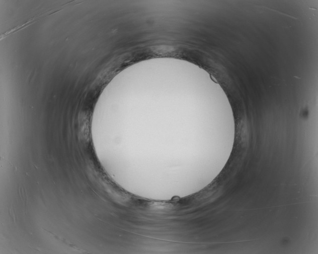 X0000116130234201001041018