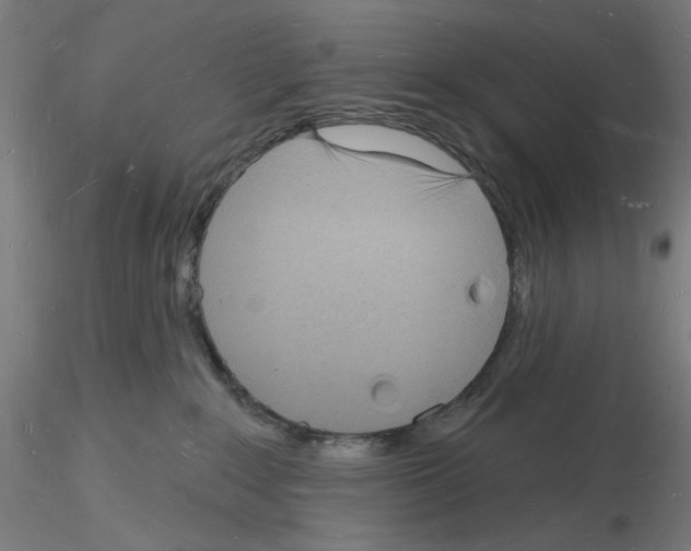 X0000116130235201001041018