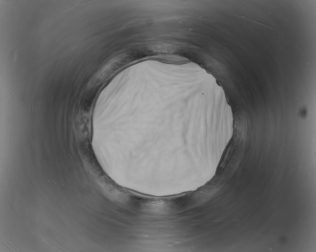X0000116130237201001041018