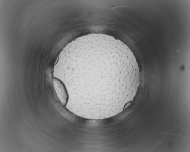 X0000116130238201001041018