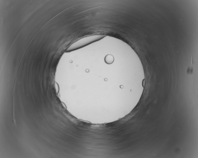 X0000116130240201001041018