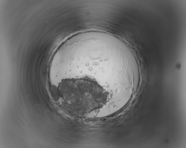 X0000116130241201001041017