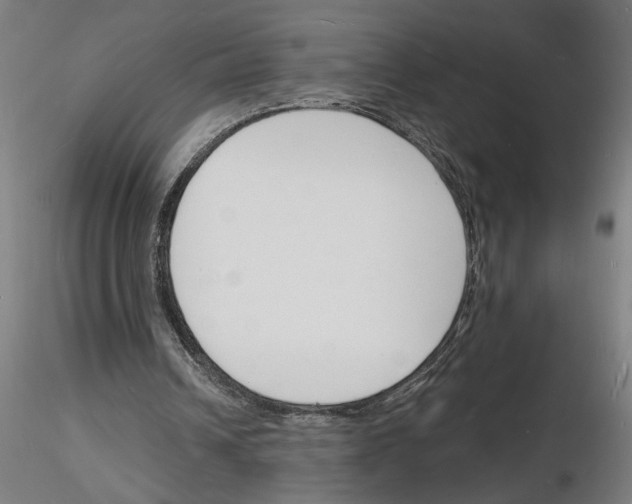 X0000116130242201001041017
