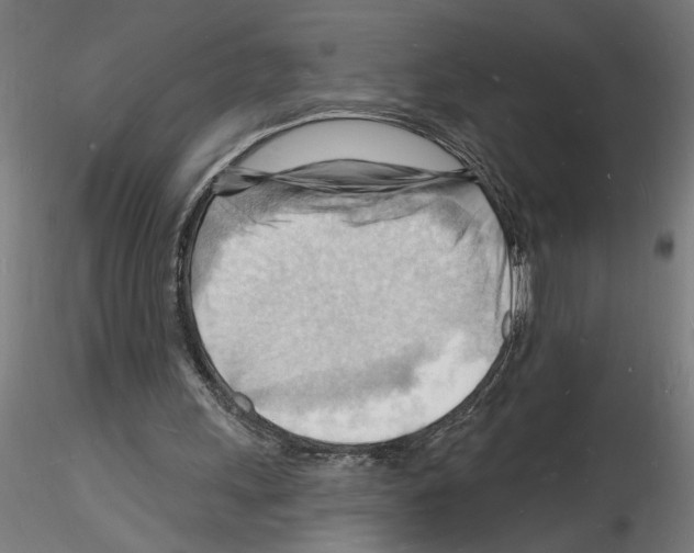 X0000116130243201001041017