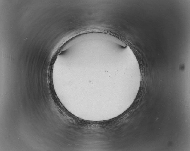 X0000116130244201001041017