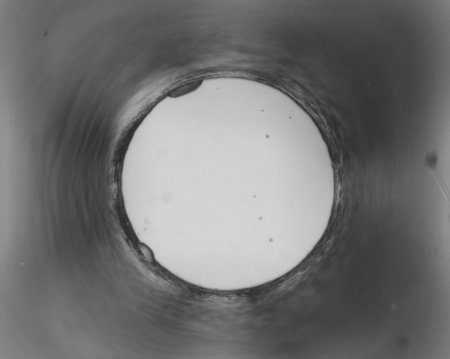 X0000116130245201001041017