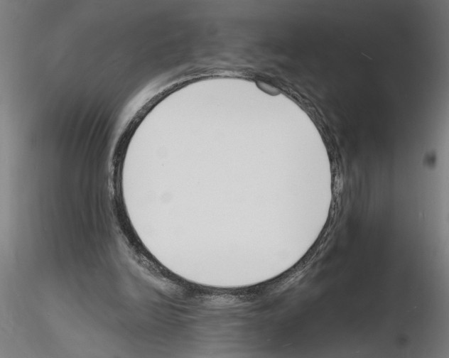 X0000116130246201001041017