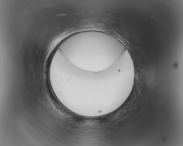 X0000116130248201001041017