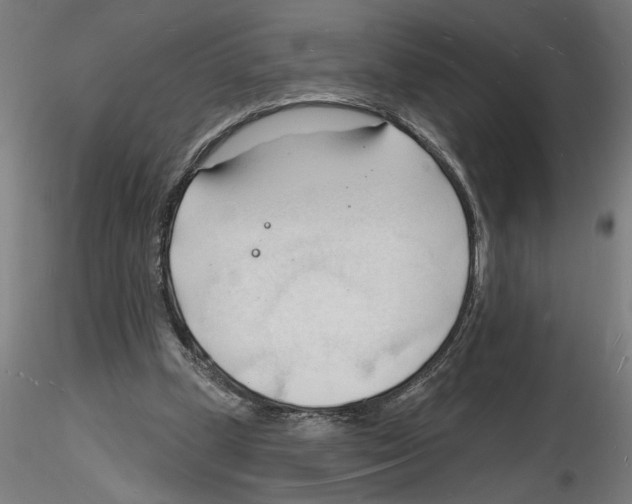 X0000116130249201001041017
